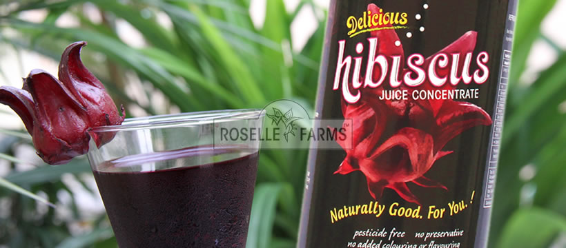 Hibiscus Juice Concerntrate